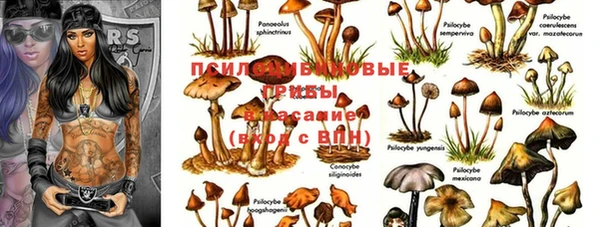 твердый Алзамай